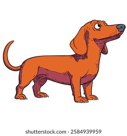 Detailed cartoon illustration of a dachshund with a curious expression, long body, and floppy ears, drawn in a vintage comic style