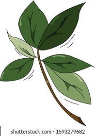 Detailed cartoon leaf vector plant