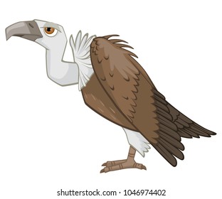 Detailed Cartoon Vulture Vector Illustration Isolated on White
