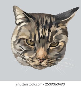 Detailed Cat Illustration in vector art style