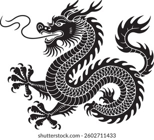 Detailed Chinese Dragon Illustration Showing Traditional Mythological Artwork