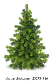 Detailed Christmas Tree