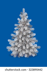 Detailed Christmas Tree