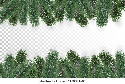 Detailed Christmas tree branches background on transparent background. Christmas decoration. Realistic fir tree border. Vector New Year design for cards, banners, flyers, party posters, headers.