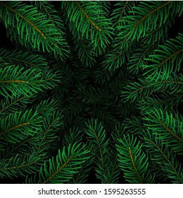 Detailed Christmas tree branches background