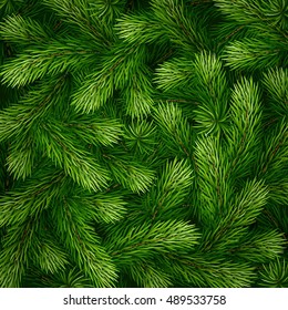 Detailed Christmas tree branches background