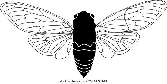 Detailed Cicada Line Art Isolated Insect Illustration for Coloring and Design.