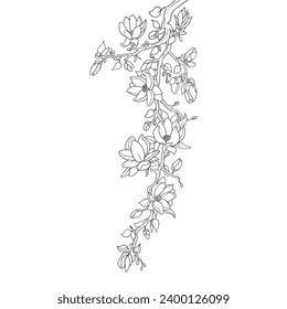Detailed clean line art hand draw illustration of flower garlands