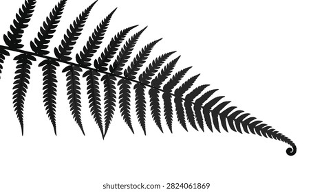 Detailed close up botanical silhouette of a delicate fern leaf with a beautifully curved tip on a white background.