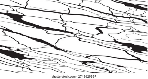 A detailed close-up of a black and white marble texture, showcasing intricate natural crack patterns and veins, ideal for backgrounds or design elements.