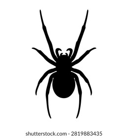 Detailed close-up of a black widow spider showcasing its distinctive body and legs, isolated on a plain white background.