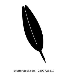 A detailed close-up of a single black feather, emphasizing its sleek shape and fine details against a plain white background.
