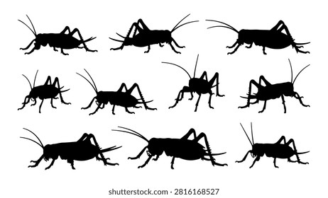 A detailed collection of ants showcasing various poses, sizes, and angles, highlighting their anatomy and movement in a natural setting.
