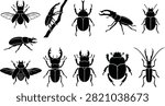 A detailed collection of beetle and insect silhouette vectors featuring stag beetles, rhinoceros beetles, longhorn beetles, flying beetles, and other species in multiple poses. Perfect for biology, entomology, nature education, logos, icons, packaging, stickers, and scientific illustration projects.