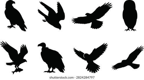 A detailed collection of black vector silhouettes featuring various birds of prey and raptor species. This predatory wildlife set includes an eagle perched, a falcon diving, a hawk soaring in flight, a front-facing owl, an osprey catching a fish, a vulture standing, and various silhouettes of hunting eagles.