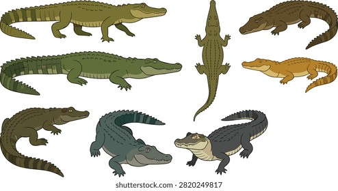 A detailed collection of crocodiles and alligators shown from different angles and poses in natural green and brown tones. Suitable for wildlife education, zoo materials, reptile projects, stickers, posters, and nature-themed designs.