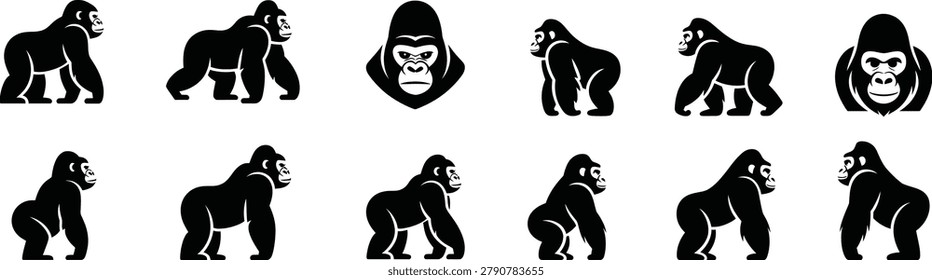 Detailed collection of gorilla vector illustrations showing standing walking and head profiles of great apes for wildlife conservation and nature branding projects today.