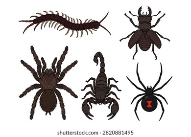 Detailed collection of insects and arachnids featuring tarantula black widow scorpion and long centipede on white.