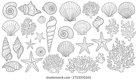 Colección detallada de varias conchas marinas, estrellas de mar y piezas de coral dibujadas a mano en un estilo de arte lineal.