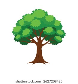 A detailed color of a deciduous tree on a white background, representing nature, growth, and seasonal change. This vector illustration is ideal for eco-friendly designs, botanical themes, environ