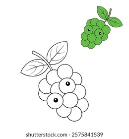 A detailed coloring page featuring a branch of ripe grapes hanging in clusters, surrounded by lush green leaves. Perfect for creative and relaxing coloring fun!