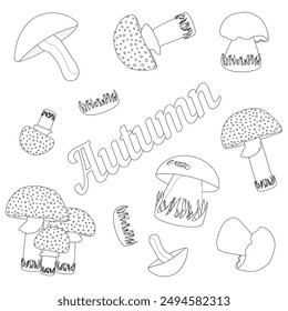 Detailed coloring page featuring various autumn mushrooms. Ideal for kids and adults to enjoy a relaxing and creative activity.