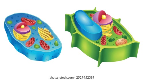 Comparación detallada de diagramas que ilustran las diferencias entre células animales y vegetales