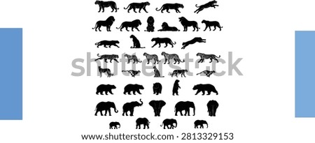 A detailed compilation of large feline and heavy mammal silhouettes for professional design