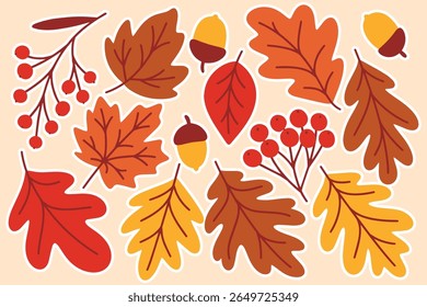 Composição detalhada de folhas de outono, bolotas e ramos de árvores em cores quentes, incluindo vermelho, amarelo e marrom no fundo bege
