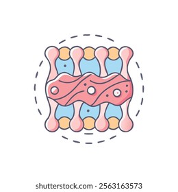 Detailed Connective Tissue Anatomy for Education