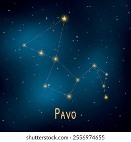 Detailed constellation of pavo against starry night sky illustration.