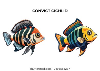 Detailed Convict Cichlid fish vector illustration. Perfect for culinary, marine, and environmental designs. High-quality vector for easy customization. Ideal for menus, packaging, education, and web g