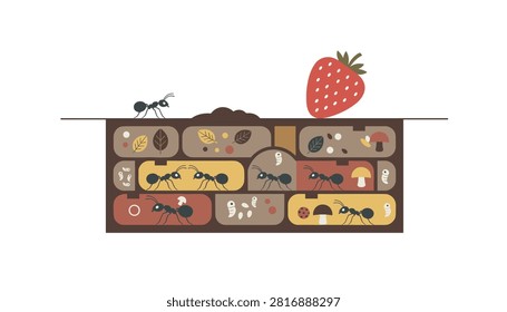 Detailed cross section illustration of an underground ant nest filled with leaves, mushrooms, and a strawberry.