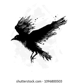 Detailed crows painted in ink on a white background. Crow wings, grunge. A detailed raven with wings. Shades of gray.