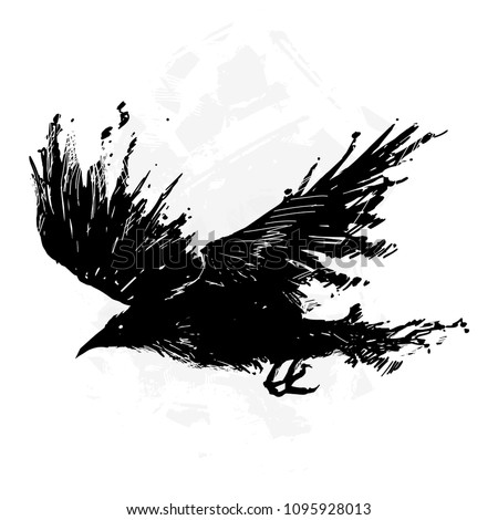 Detailed crows painted in ink on a white background. Crow wings, grunge. A detailed raven with wings. Shades of gray.