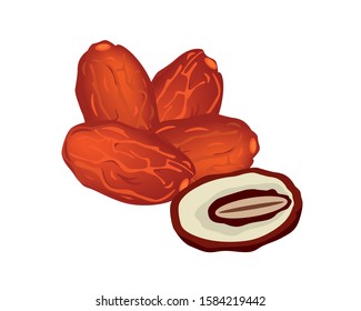 Detailed Date Fruit with the Slice Illustration