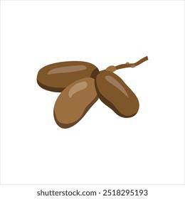 Detailed Date Palm Fruit Vector Design