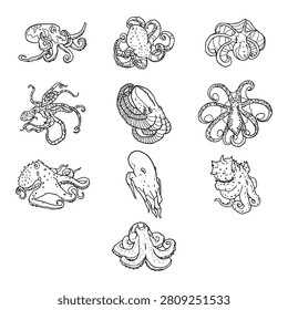Detailed Deep Sea Octopus Outline Illustration Collection