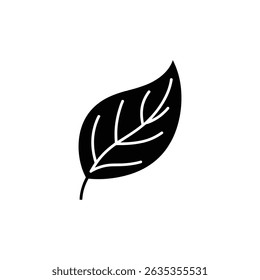 Detailed design shows an isolated silhouette of a leaf with visible veins, set against a transparent background.