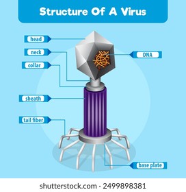 Diagrama detallado de la estructura de un virus