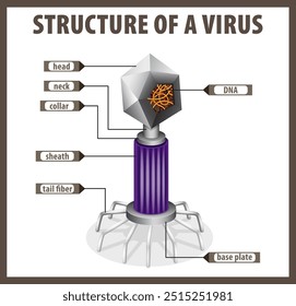 Detailed diagram of a virus structure