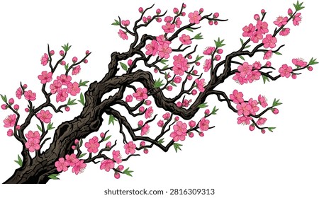 A detailed digital illustration of a gnarled tree branch covered in vibrant pink cherry blossoms against a clean white background.