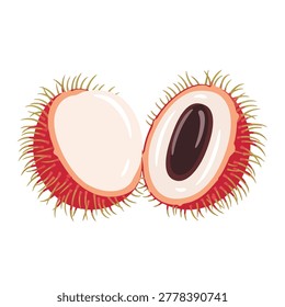 A detailed digital illustration showing two halves of a fresh rambutan fruit featuring its signature red hairy skin and white flesh with a dark seed