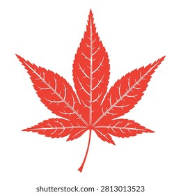 Detailed digital illustration of a vibrant red maple leaf, symbolizing autumn, nature, and seasonal change, suitable for environmental and botanical projects.