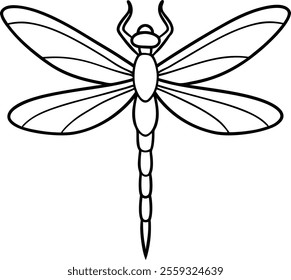 Detailed Dragonfly Line Art Vector Illustration Design