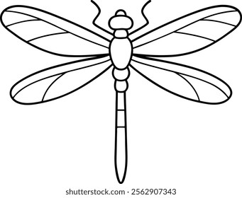 Detailed Dragonfly Vector Illustration in Line Art