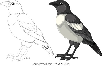 Detailed drawing of a bird, colored and outlined.