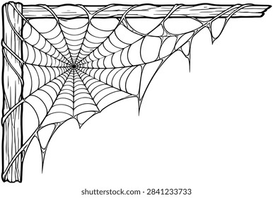 Detailed drawing of a classic orb spider web with radial lines anchored between wood showing natural insect habitat