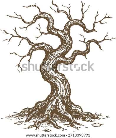 Detailed drawing of a gnarled tree with bare twisting branches and exposed roots.