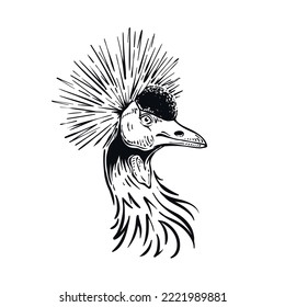 Detailed Drawing Of Grey Crowned Crane Head To Neck Illustration Bird Portrait Vector Design